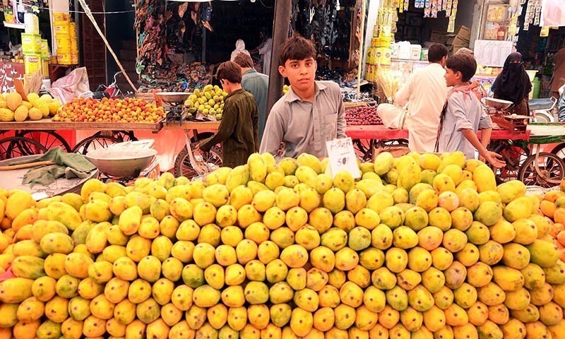 Pakistani Mango Price in Pakistan