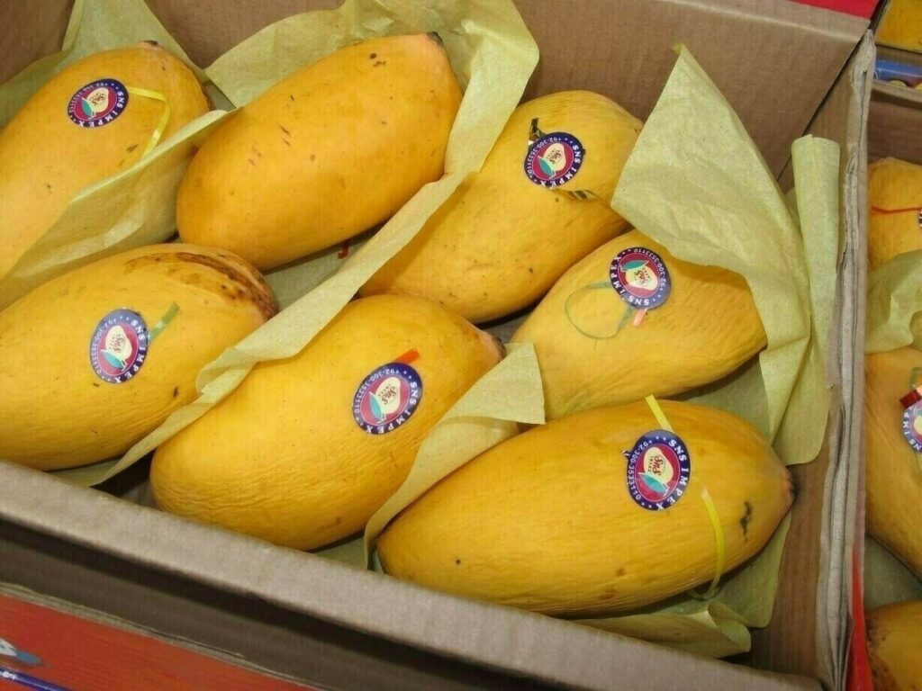 Mango Price in Pakistan