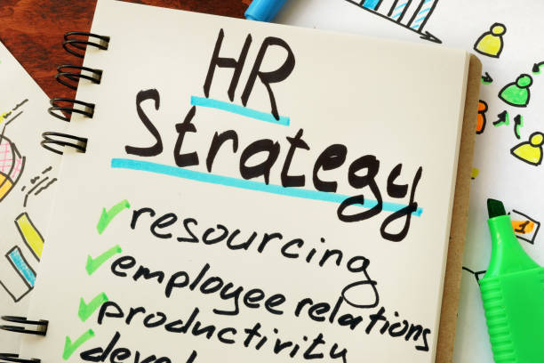 CIPD Assignment Writing HR in Strategy Formulation