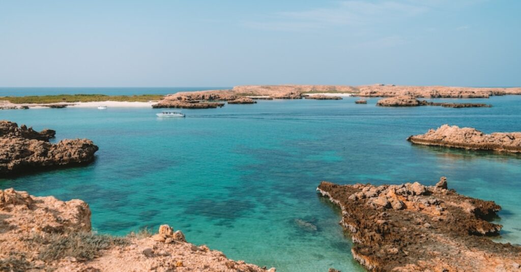 Scuba Diving Tours