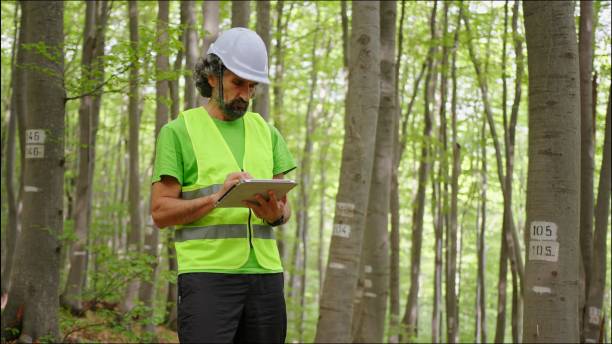 Woodland Management Lancashire
