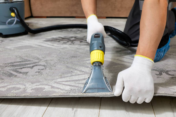carpet cleaning service in Fairfax